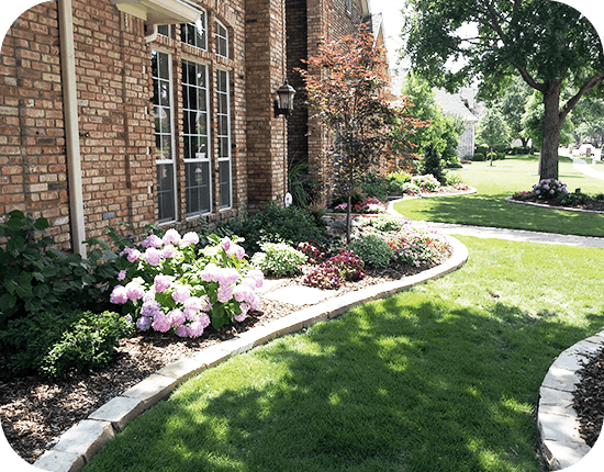 Landscape Design Project 6