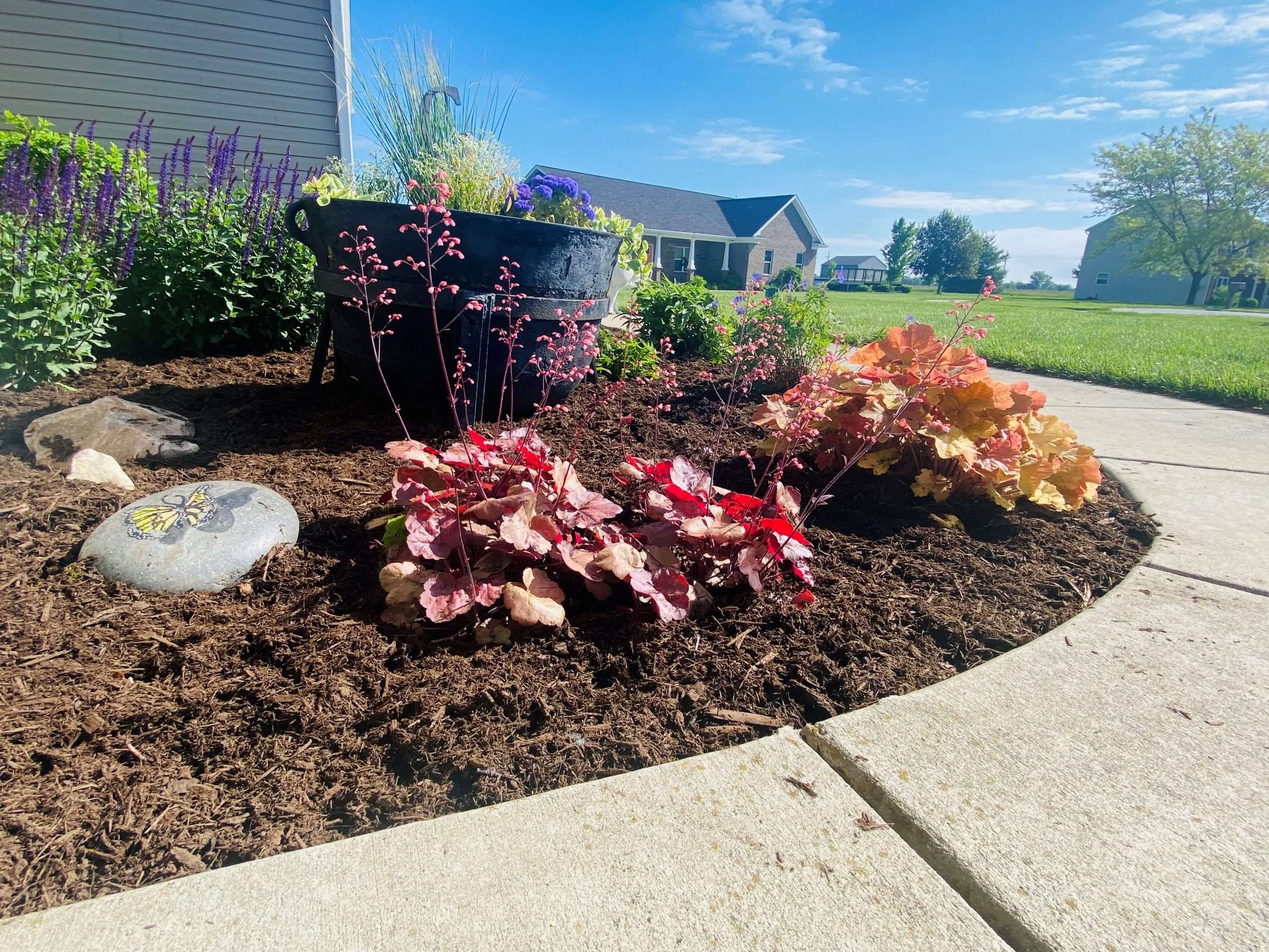 Mulch Project 7