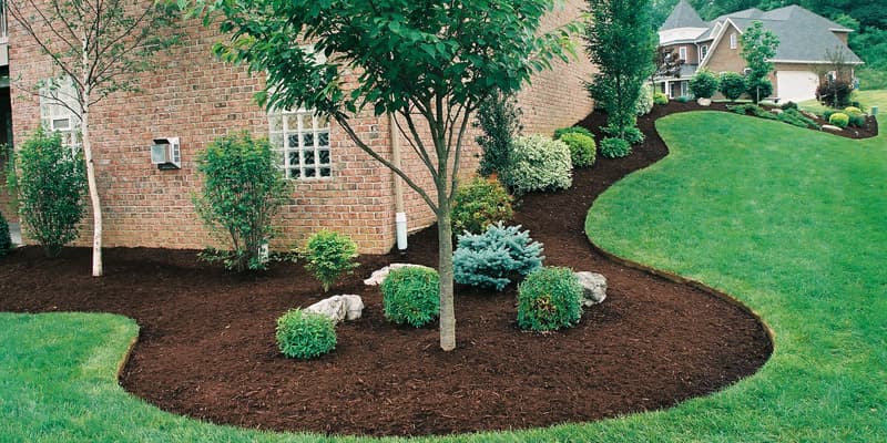 Mulch Project 8