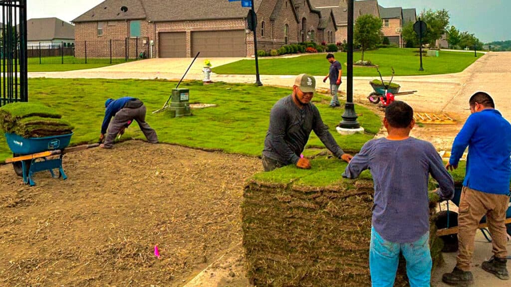 Sod Installtion Project 2