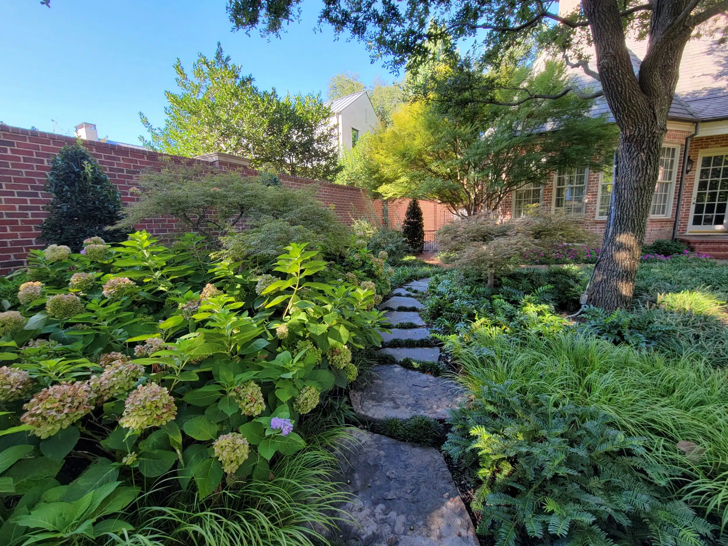 Professional Landscaping in Colleyville